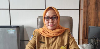 Kepala DPKAD: Target PAD yang Ditetapkan Pemda Pulau Morotai Tahun 2021 Meleset