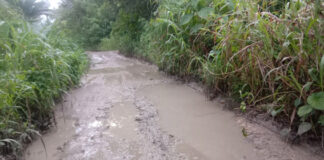 Camat Kayoa Utara Minta PUPR Malut Segera Selesaikan Jalan Poros Guruapin-Laromabati