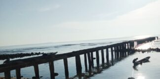 16 Tahun Tambatan Perahu Desa Ngokomalako Rusak, Warga ke Bupati; Apakah Kami bukan Masyarakat Halsel?