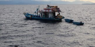 KKP Minta Pelaku Usaha Patuhi Kebijakan Pemanfaatan Ikan Dilindungi