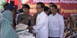 Jokowi Pamer Harga Beras di RI Lebih Murah Daripada Negara Tetangga