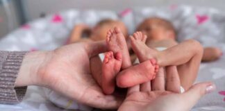 Mahasiswi Asal Halut di Temukan Meninggal Dunia di Kamar Kos. Ada Dua Bayi Kembar Disampingnya