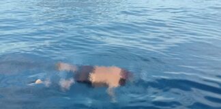 Tiga Hari Pencarian, Warga Asal Kota Makassar Yang Tenggelam di Dermaga Bongkar Muat Sofifi Ditemukan Meninggal Dunia