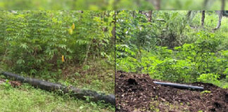 Pemasangan Pipa Air Bersih di Pulau Kayoa Dikeluhkan Warga