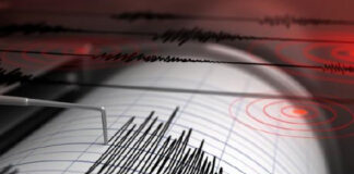 Gempa Terkini 4,6 M (Magnitudo), Guncang Jailolo Halbar dan Sekitarnya