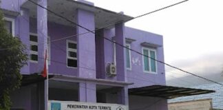 Puskesmas Kalumata Tangani 35 Kasus Suspek Campak