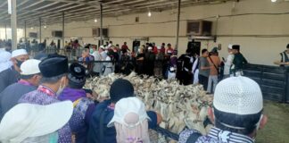 Jemaah Kloter 11 Lakukan Pemotongan Kambing di Hubaiidiyah