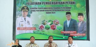 Distan Halteng Sosialisasi Strategi Diversifikasi Produk Olahan Pala Varietas