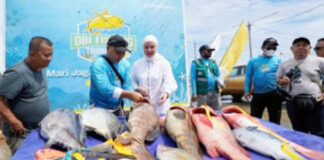 Obi Fishing Tournament 2025: Tangkapan Ikan Melimpah, Produktivitas Perairan Kawasi Terjaga
