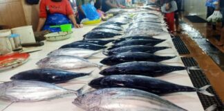 Cuaca Buruk, Harga Ikan di Ternate Belum Stabil