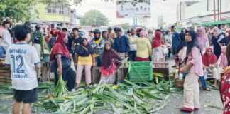 Pedagang Daun Pandan di Gamalama Blokir Jalan, Tuntut Evaluasi Kebijakan Relokasi
