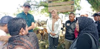 DPRD Ternate Tertibkan Penjualan Hewan Kurban di Kawasan Kuburan Cina, Dinilai Ganggu Situs Toleransi