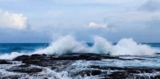 BMKG Peringatkan Angin Kencang di Maluku Utara, Gelombang Berpotensi Capai 2 Meter
