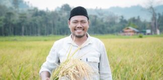 Di Tengah Kemarau, Panen Padi Petani Milenial Obi Lampaui Target Nasional