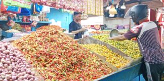 Kemarau Berkepanjangan, Harga Cabai di Ternate Tembus Rp200 Ribu per Kilogram